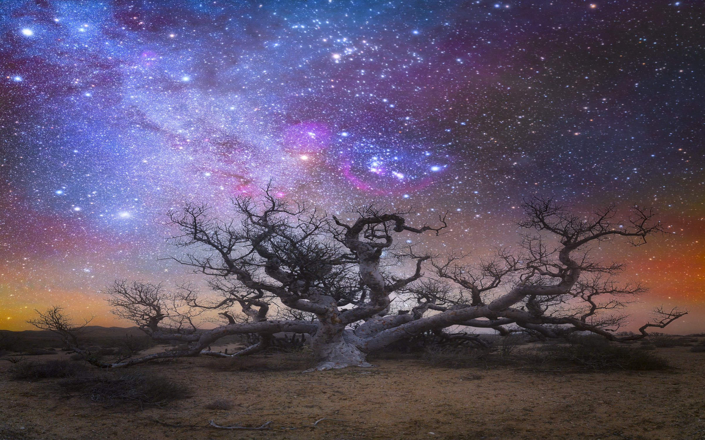 Dark Skys of Baja California